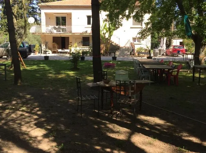 Au son des cigales